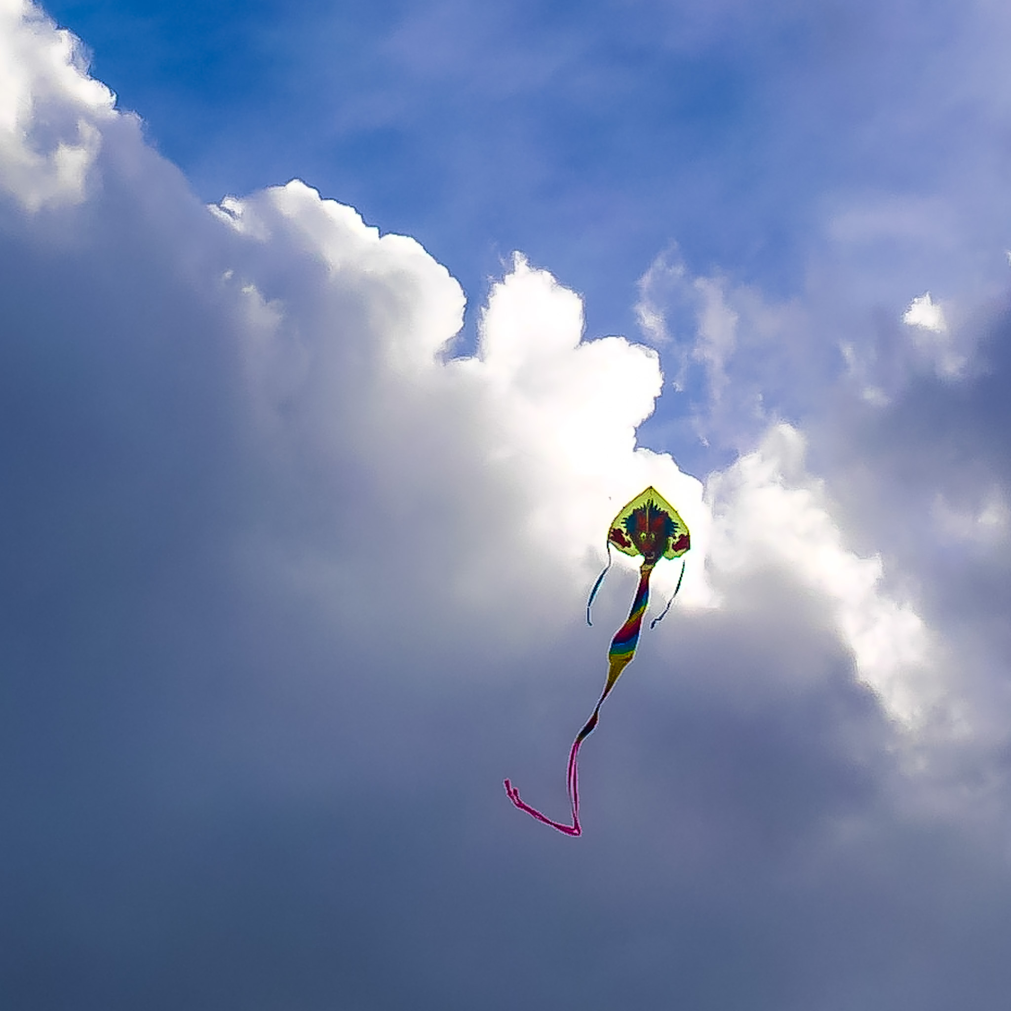 Dragon kite
