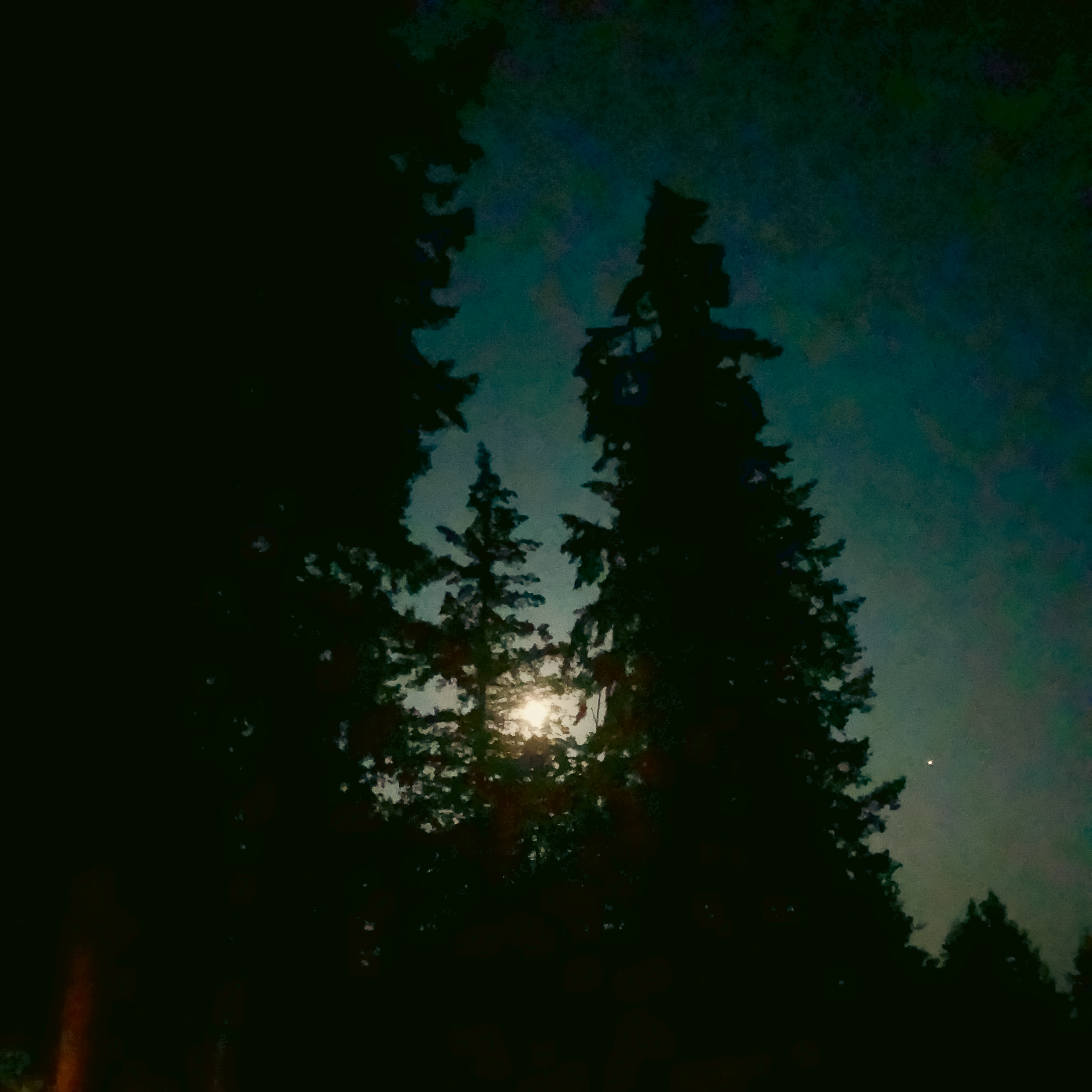 Full Buck Moon