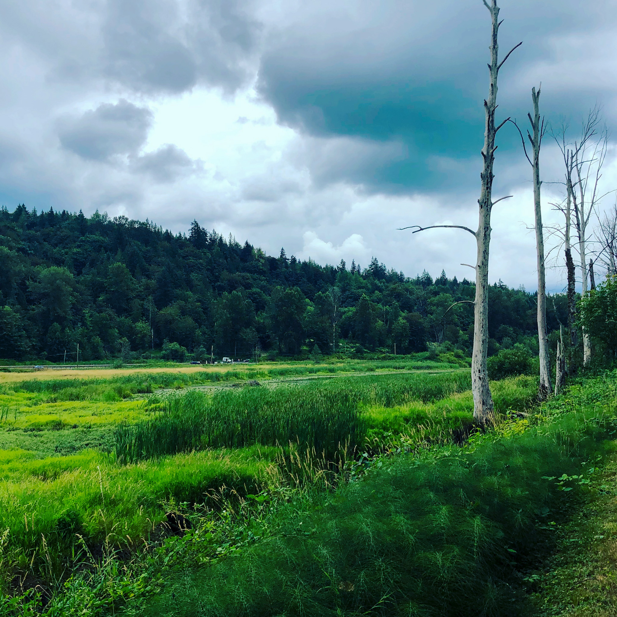 Hiking Rails to Trails