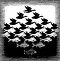 Sky & Water I by M. C. Escher
